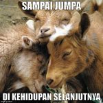 meme lebaran idul adha 2016