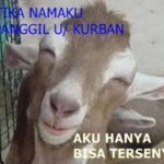 meme lucu idul adha 2016