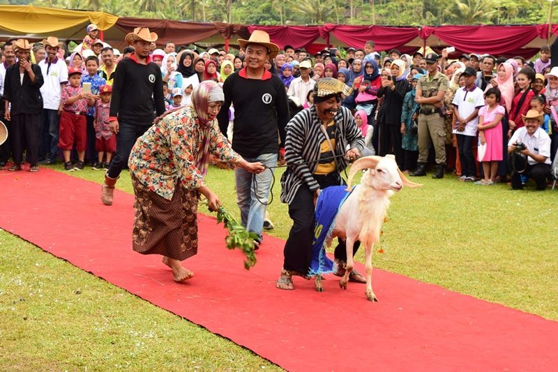 Festival Ternak Ciamis 1