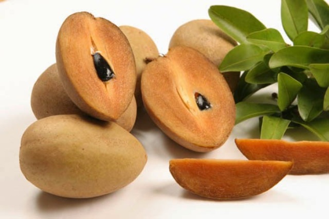 Manfaat buah sawo untuk kesehatan