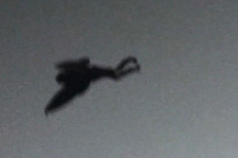 Makhluk Raksasa Misterius di Langit Virginia AS