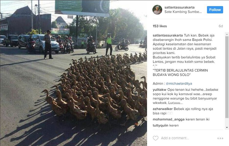 Polisi Sebrangkan Bebek