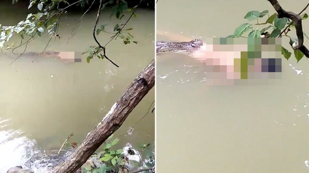 Buaya Antarkan Mayat ke Tepi Sungai