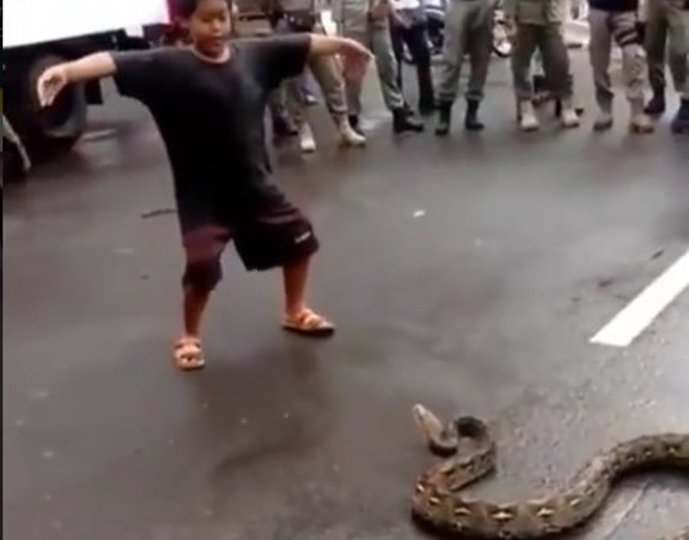 Gokil Sambil Joget Bocah ini Tangkap Ular Piton Ditengah Jalan Raya