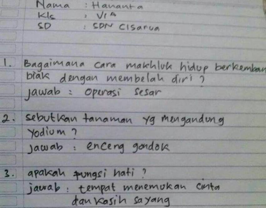 ditanya soal mamalia jawaban siswa kelas 6 sd ini bikin ngakak 1