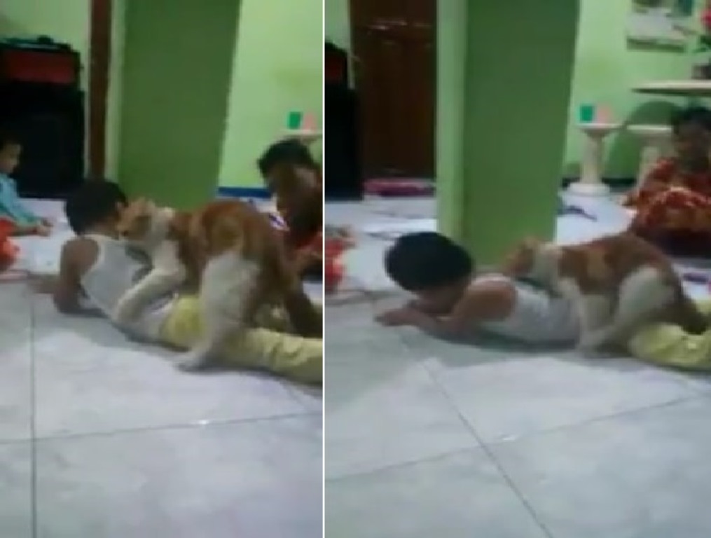 Ngakak Posisi Ambigu Kucing Ngisengin Bocah ini Bikin Netizen Mikir yang Aneh Aneh