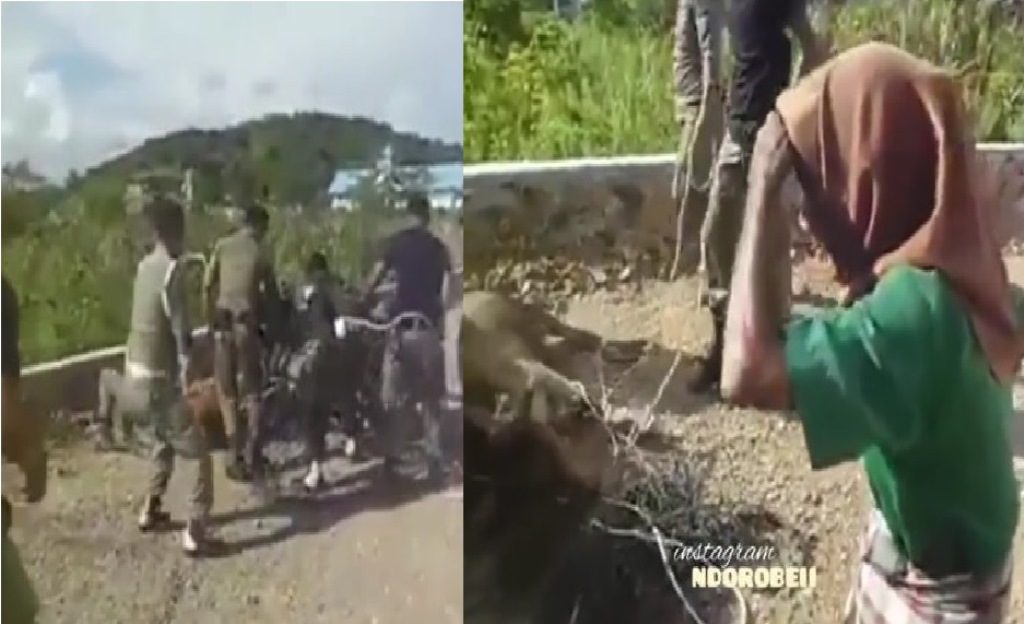 Sapinya Diamankan Petugas Karena Kerap Jadi Penyebab Kecelakaan Nenek Ini Menangis Histeris