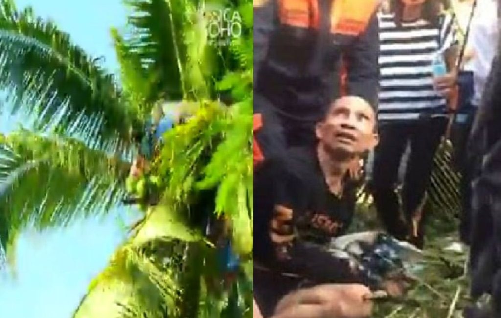 Trauma Setelah Kepalanya Dipukul Pistol Pria Ini 3 Tahun Tinggal di Puncak Pohon Kelapa Video Penurunannya Viral di Medsos