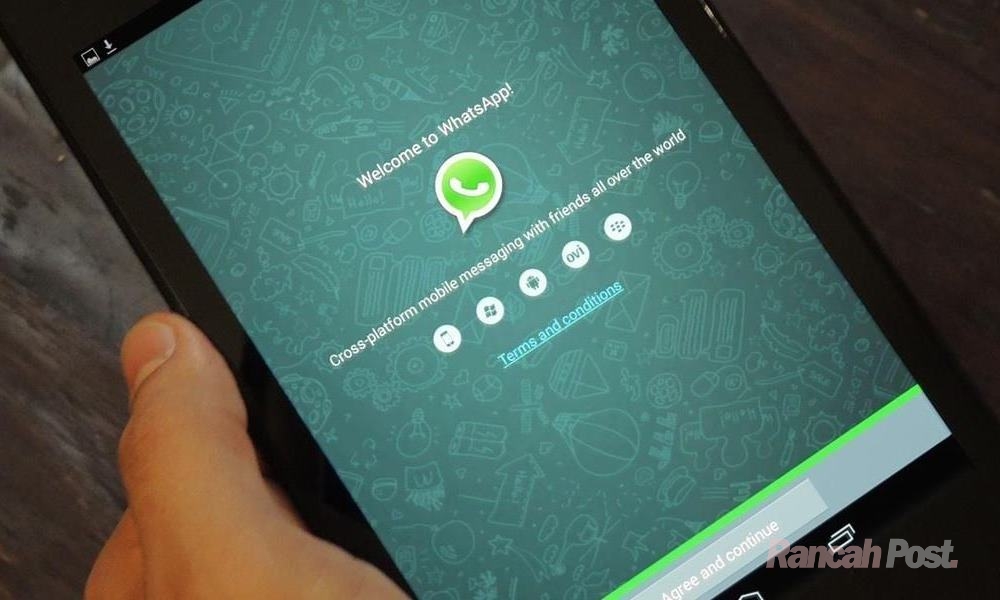 Cara Menggunakan WhatsApp Untuk Tablet