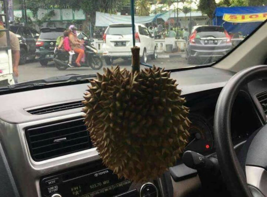 Greget Banget Pengendara Mobil Ini Pakai Pewangi Mobil Tidak Biasa Baunya Dijamin Bikin Melek Terus