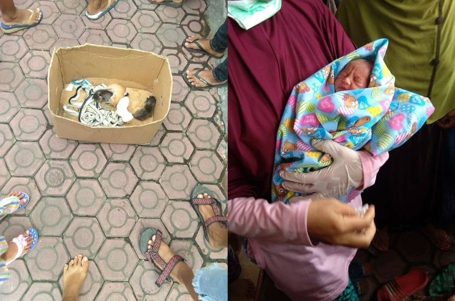 Dibuang dalam Kardus Bersama Anak Kucing Wajah Bayi Malang Ini Penuh Luka Cakar