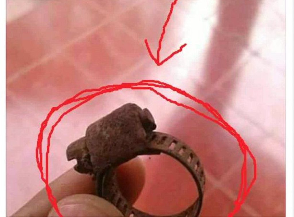 Disebut Sebut Sebagai Cincin Peninggalan Majapahit Foto Benda Hasil Temuan Saat Gali Tanah Ini Justru Bikin Netizen Ngakak