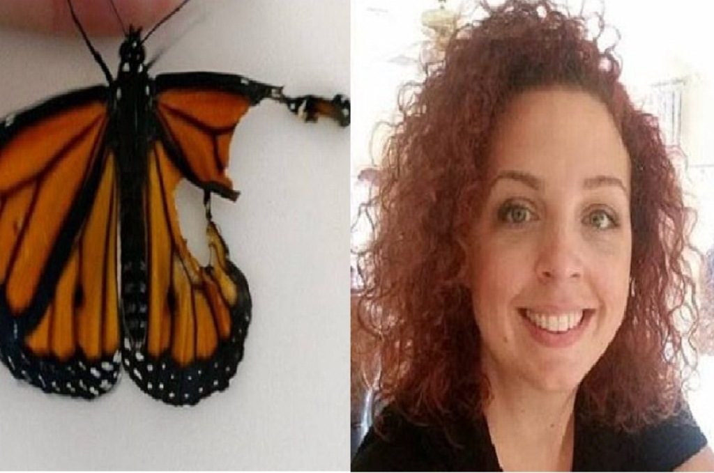 Perbaiki Sayap Kupu Kupu yang Robek Wanita Ini Banjir Pujian