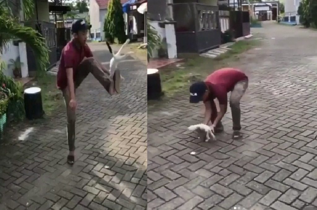 Tendang Kucing Seperti Bola Kelakuan Pemuda Ini Bikin Netizen Geram