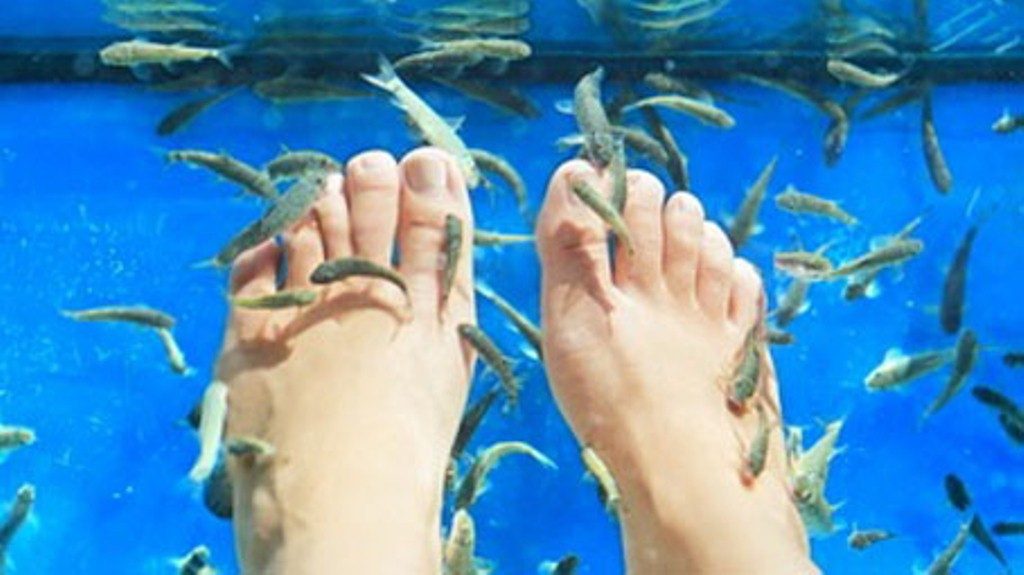 Viral Karena Kaki Terlalu Bau Pria ini Tak Sengaja Bikin Semua Ikan di Spa Mati