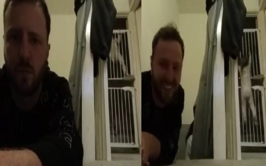 Bikin Ayahnya Sendiri Heran, Bocah 2 Tahun Berhasil Manjat Pintu Gerbang Ganda Bikin Ayahnya Sendiri Heran Bocah 2 Tahun Berhasil Manjat Pintu Gerbang Ganda