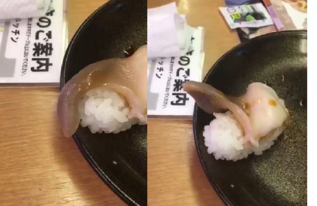 Hebohkan Netizen, Daging Sushi Pembeli Ini Bergerak Saat Akan Dimakan, Videonya Viral Hebohkan Netizen Daging Sushi Pembeli Ini Bergerak Saat Akan Dimakan Videonya Viral
