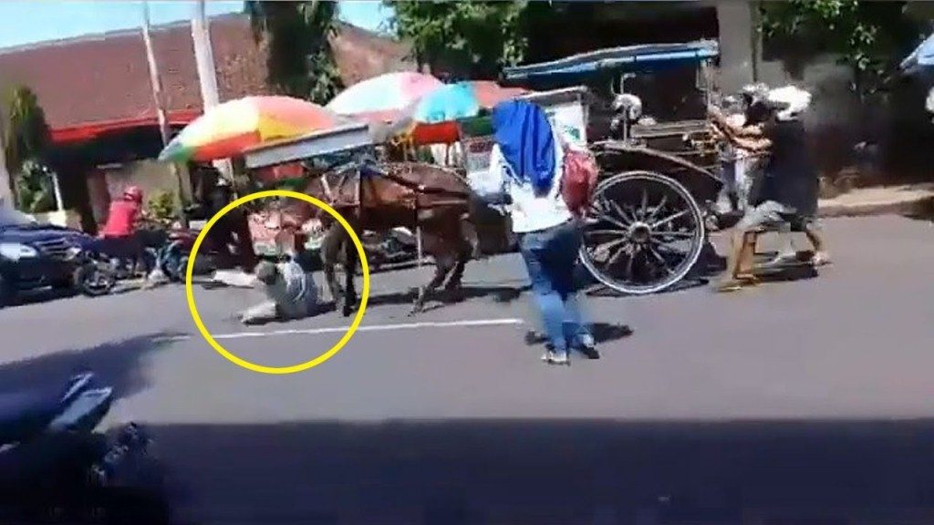 Kuda Ngamuk Gigit Pria di Alun Alun Purbalingga Videonya Viral