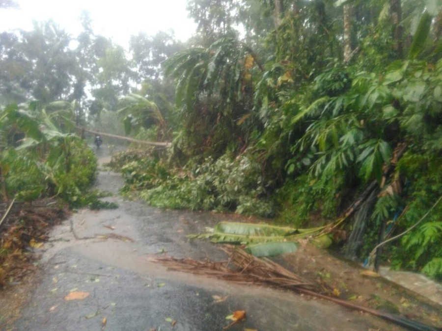 Puting Beliung di Rancah Desa Giriharja Porak Poranda