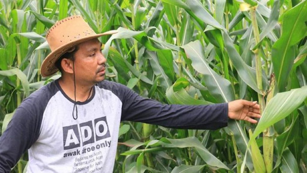 Tinggalkan Penghasilan Puluhan Juta di World Bank Muslahuddin Daud Pilih Jadi Petani