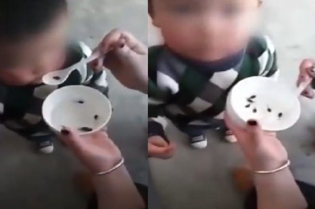 Heboh Bocah Diberi Makan Kecebong Hidup Videonya Viral