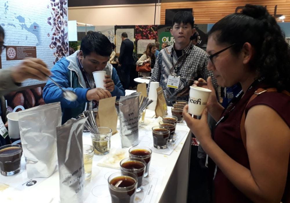 Kopi Gayo Aceh Jadi Primadona di Global Specialty Coffee Expo Amerika Serikat