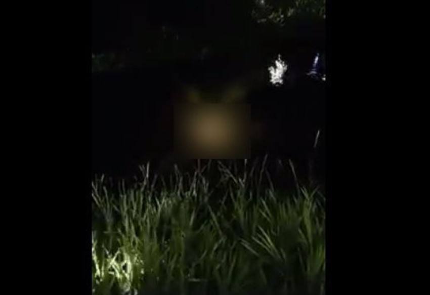Beredar Video Detik-Detik Remaja di Banyuasin Diterkam Buaya saat Akan Memancing Beredar Video Detik Detik Remaja di Banyuasin Diterkam Buaya saat Akan Memancing