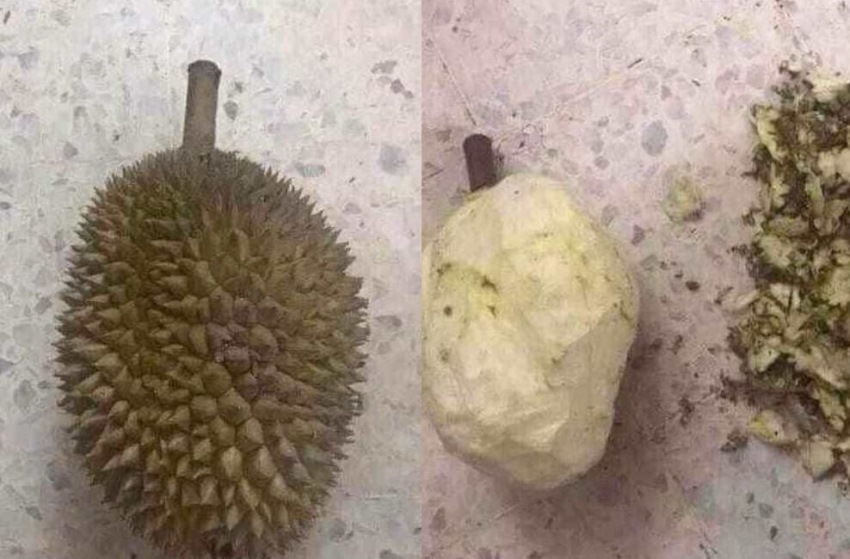 Istri Minta Kupaskan Buah Durian Suami Lakukan Hal Tak Terduga Bikin Ngakak