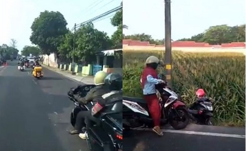 Kepepet Konvoi Moge Wanita Pengendara Sepeda Motor ini Terperosok ke Kebun Jagung