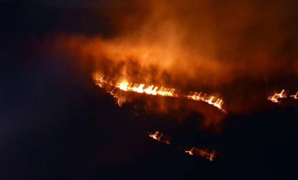 Hutan Jati Gunung Sangkur Banjar Kebakaran Pertanda Turun Hujan