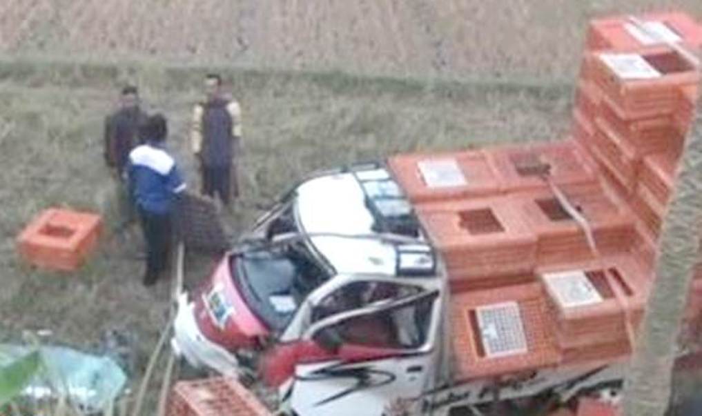 Terlibat Kecelakaan di Pamarican Ciamis Pick Up Pengangkut Ayam Mental ke Sawah