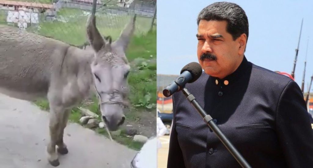 Samakan Nicolas Maduro dengan Keledai 2 Petugas Damkar Diamankan