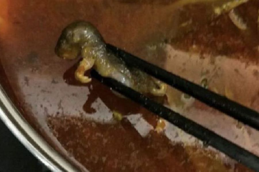 Wanita Hamil Temukan Bangkai Tikus dalam Sup Xiabu Xiabu Merugi 28 Triliun