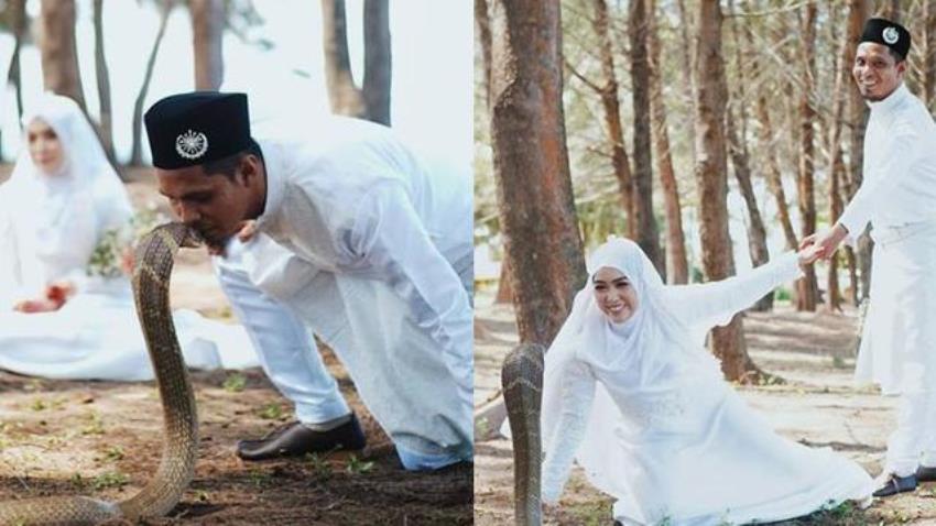 Lakukan Sesi Foto pernikahan dengan Ular King Kobra Pasangan Pengantin ini Bikin Ngeri