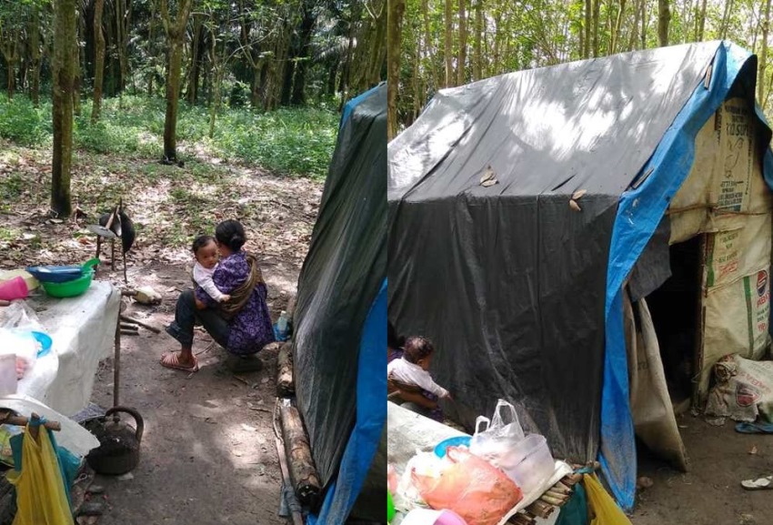 Tinggal di Tengah Hutan Tangisan Anak Bungsu Keluarga ini saat Malm Hari Sering Dikira Hantu