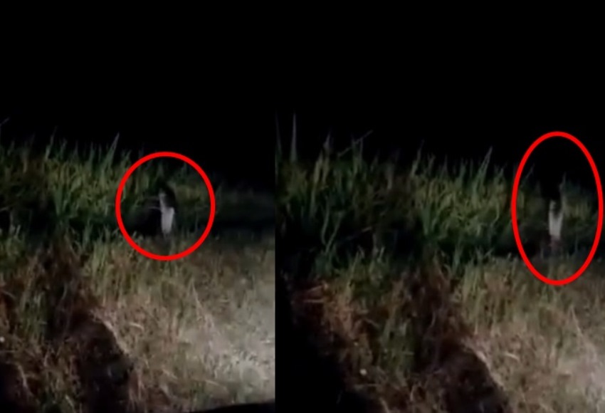 63 Gambar Hantu Video HD Terbaru