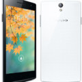 oppo find 5 mini xxl 2412