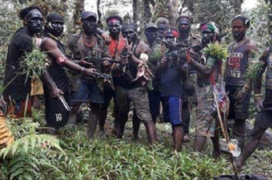 KKB Papua Tembak Mati 31 Pekerja dan 1 Anggota TNI Menhan Menyerah atau Diselesaikan