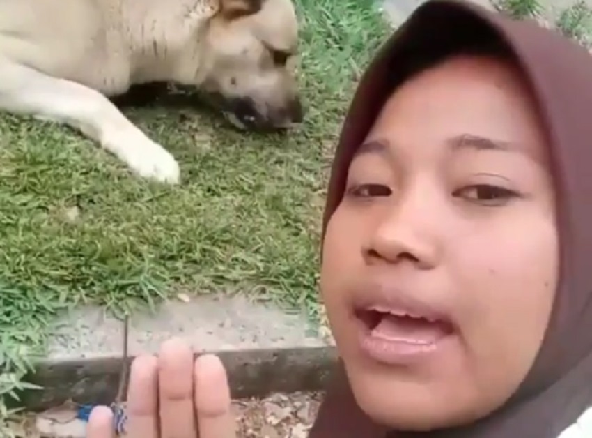 Nyanyi Lagu Sayur Kol Sambil Marahi Anjing Aksi Perempuan ini Buat Netter Greget