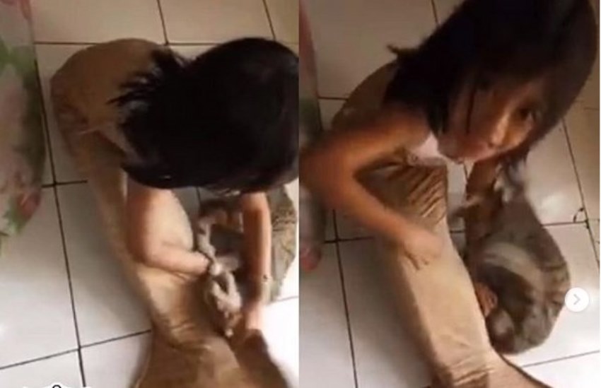 Pakai Kostum Putri Duyung Bocah ini Digigit Kucing karena Dikira Ikan Netter Greget Sama Ibunya