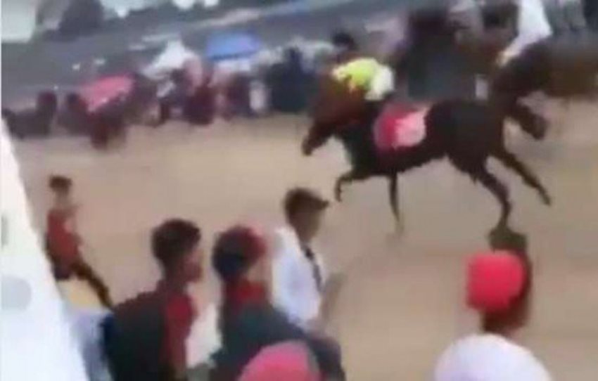 Nekat Masuk Jalur Pacuan Kuda Nasib Fotografer ini Berakhir Tragis