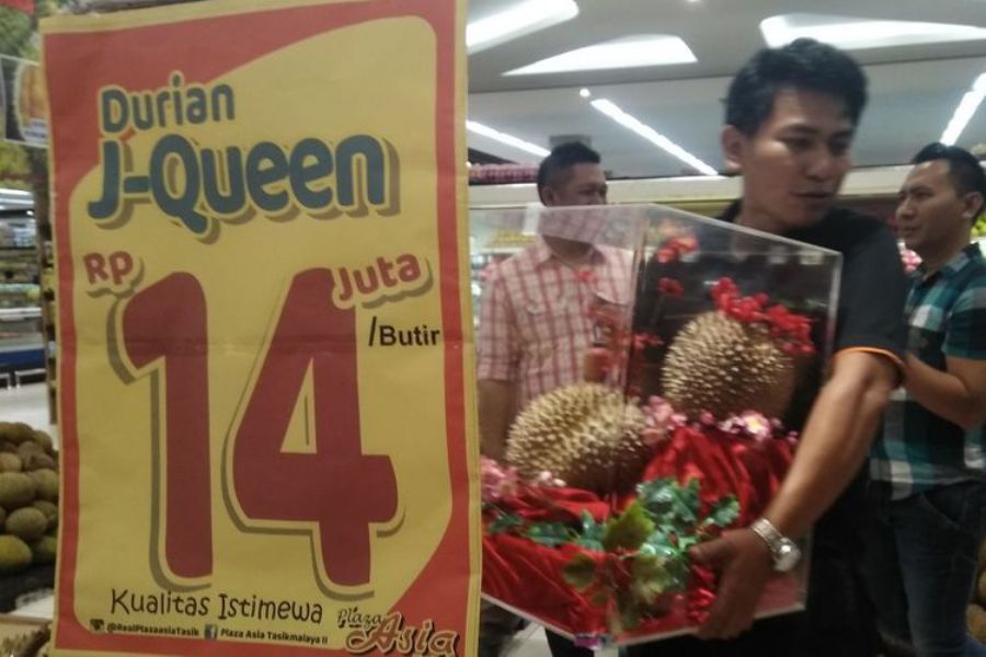Pemuda Asal Tasikmalaya Jadi Penemu Durian J Queen yang Harga per Buahnya Capai 14 Juta
