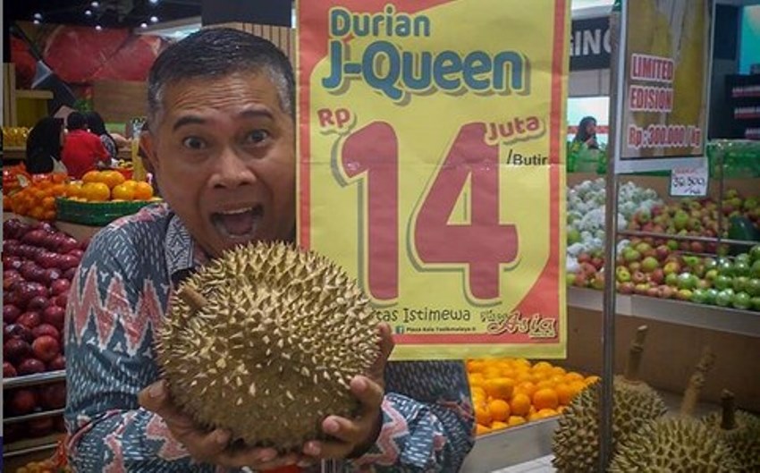 Viral Durian J Queen Dijual Rp 14 Juta Ternyata ini Keistimewaannya