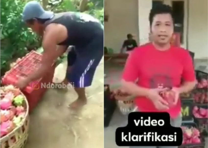 Viral Video Pria Buang Buah Naga ke Sungai Pelaku Minta Maaf dan Beri Klarifikasi