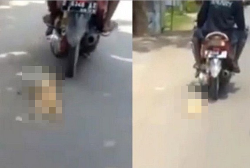 Beredar Video Kucing Diseret Pakai Motor di Jawa Tengah Netizen Meradang