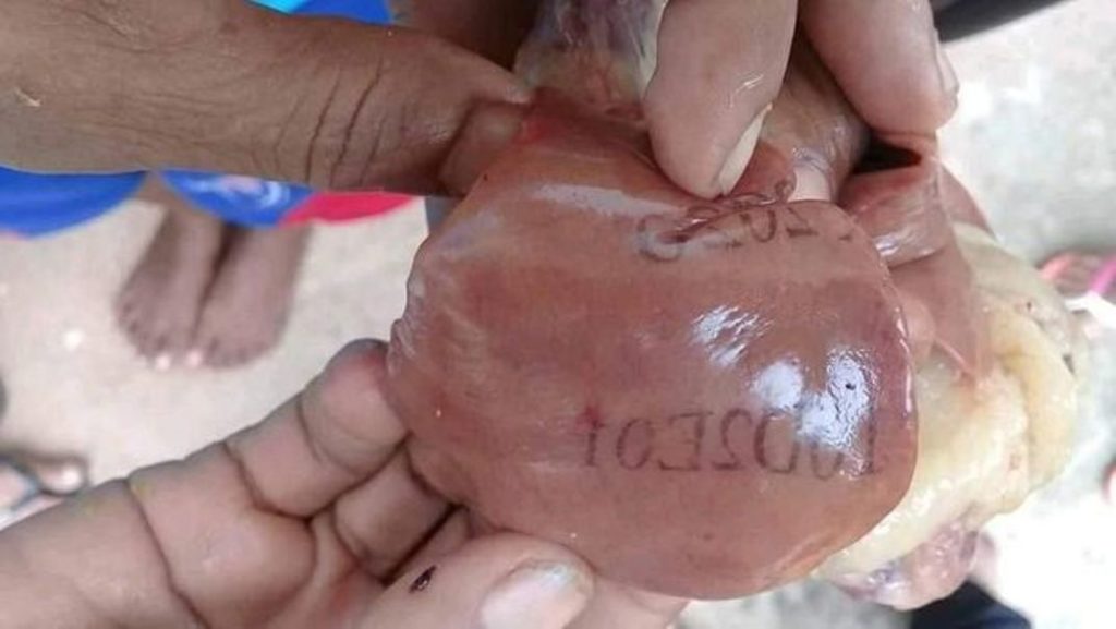 Jemaat Sempat Takut Ini Cerita Pendeta Viktor Soal Hati Ayam Bertuliskan 10D2E01 dan 2020