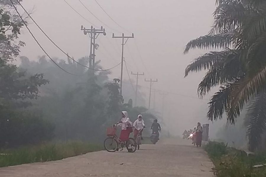 Kabut Asap di Riau Kian Parah Belasan Sekolah Diliburkan