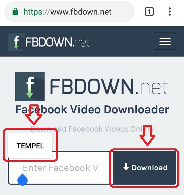 Cara Download Video di Facebook Lite