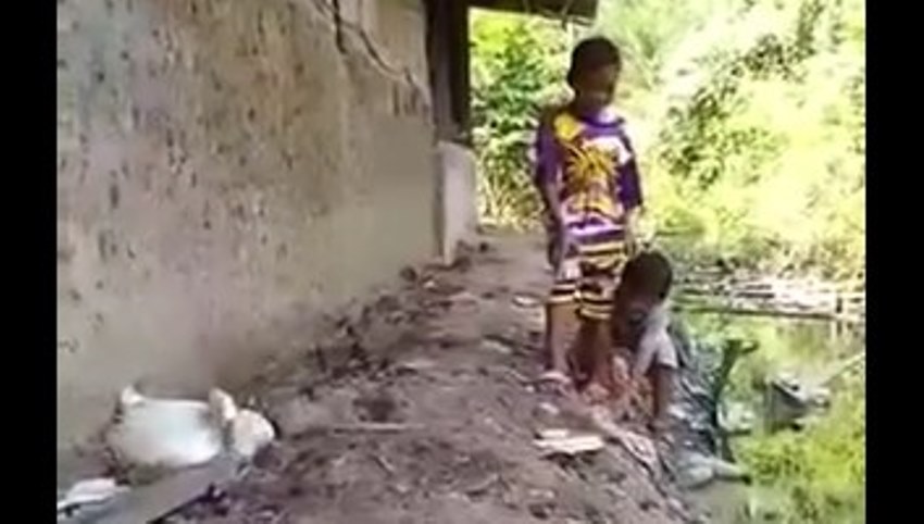 Gerak-Geriknya Bikin Nggak Nyaman, Dua Bocah ini Disosor Angsa sampai Ngejengkang Gerak Geriknya Bikin Nggak Nyaman Dua Bocah ini Disosor Angsa sampai Ngejengkang