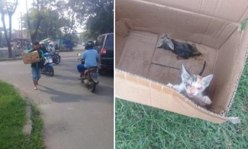 Selamatkan Anak Kucing dari Dalam Got Aksi Driver Ojol ini Tuai Pujian